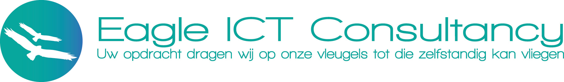 Logo Eagle ICT Consultancy